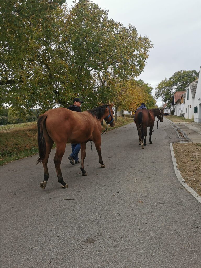Youngsters Spaziergang