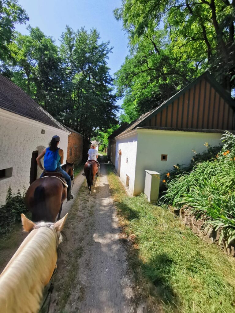 Wanderritt Kellergasse