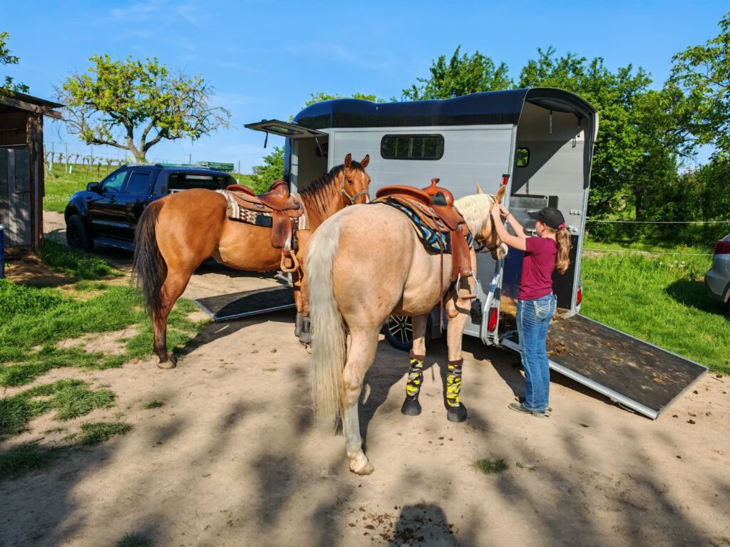 Auswärtstraining